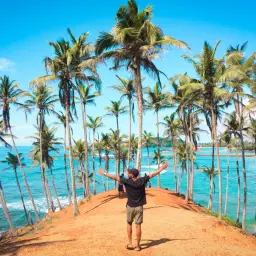 Wspaniałe widoki na Sri Lankę, kiedy jechać? Idealny czas na plażowanie wśród palm i turkusowego oceanu.