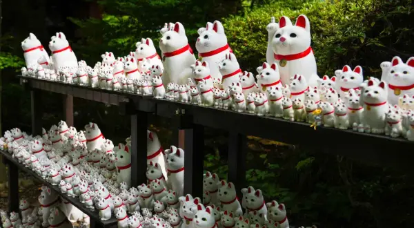 Tysiące białych kotów maneki-neko na półkach. Warto zobaczyć w Tokio te urocze figurki przynoszące szczęście.