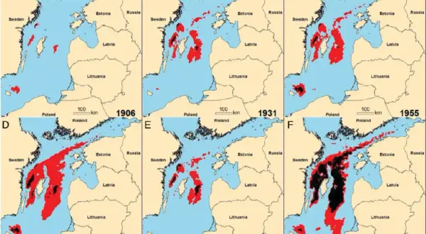 Czy Bałtyk jest czysty? Sprawdź aktualną jakość wody i zagrożenia