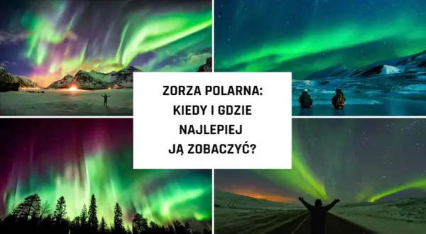 Widok na zorzę polarną, kiedy jest zielona i fioletowa nad ośnieżonymi górami i lasami.