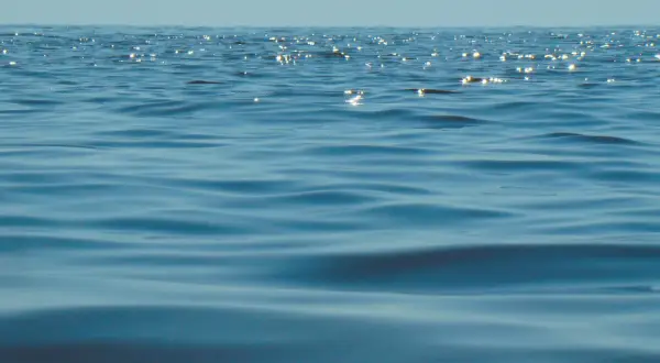 Błękitne fale Bałtyku, gdzie zasolenie jest niższe niż w oceanach, odbijają światło.