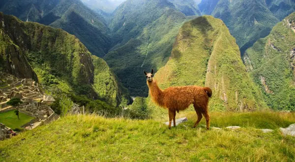 Kiedy jechać do Peru? Najlepsze miesiące na niezapomnianą podróż