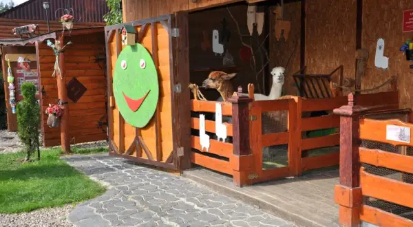 Najlepsze atrakcje Mikołajki dla dzieci – zabawa i edukacja w jednym
