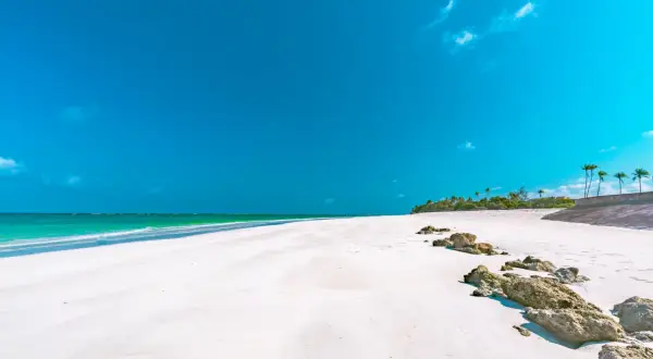 Kiedy jechać do Kenii? Poznaj najlepsze terminy na safari i plaże