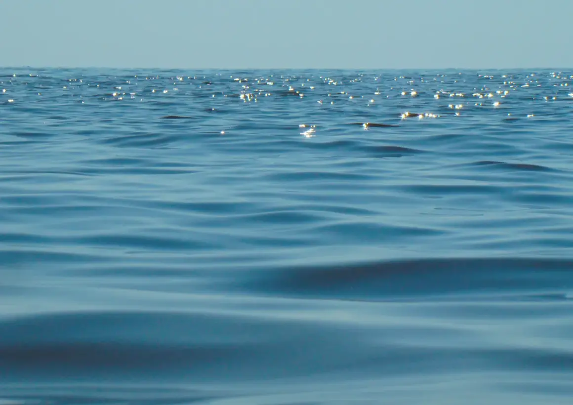 Błękitne fale Bałtyku, gdzie zasolenie jest niższe niż w oceanach, odbijają światło.