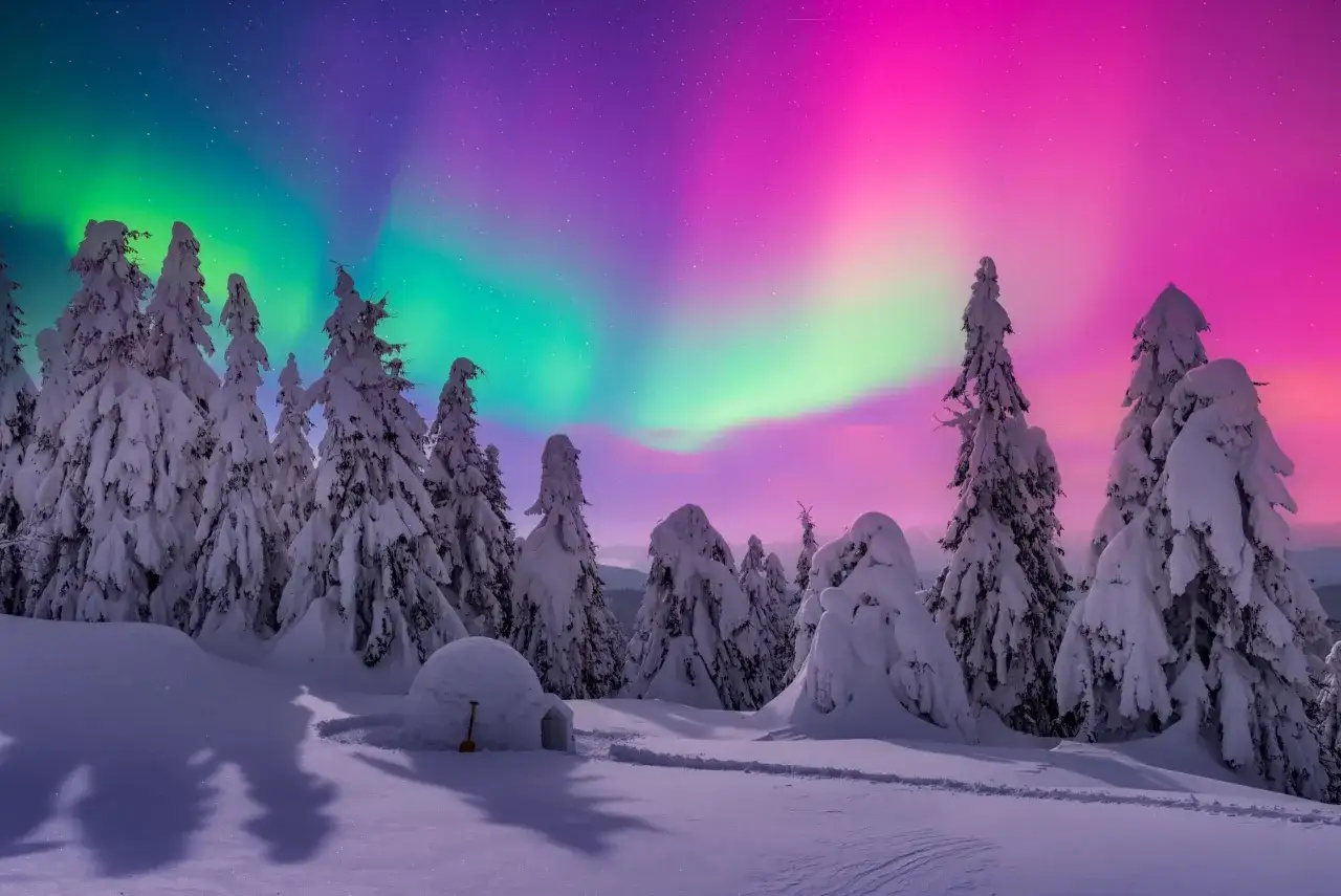 Zimowe wycieczki pod zorzą polarną. Igloo i zasypane śniegiem drzewa w magicznym świetle.