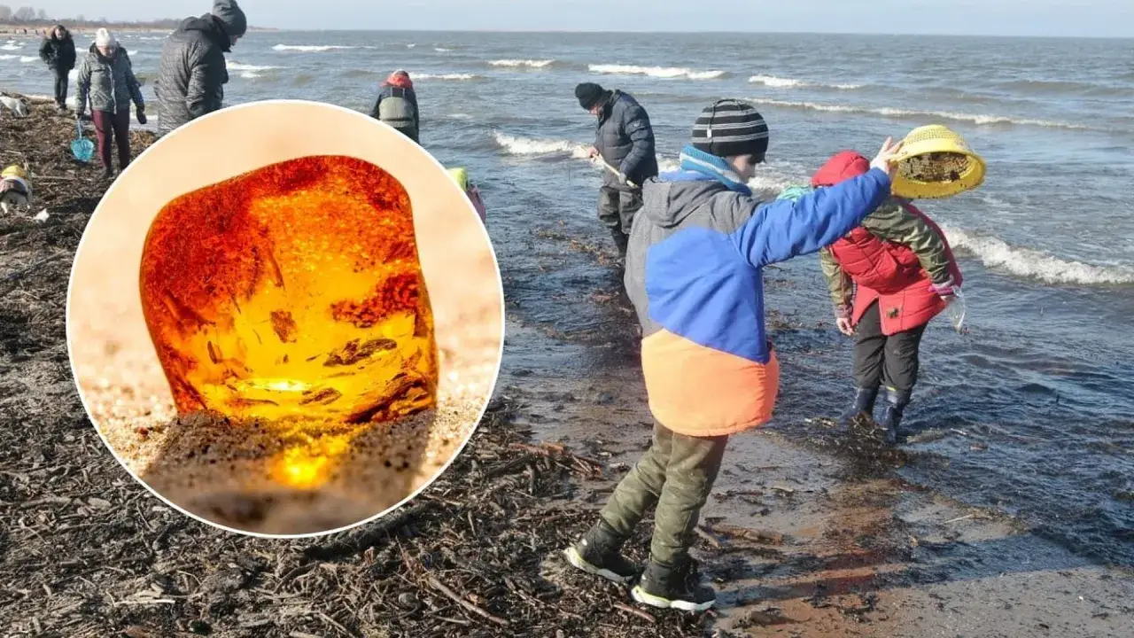 Dzieci szukają skarbów na plaży. Zobacz, jak rozpoznać bursztyn na plaży, porównując go z tym pięknym okazem.