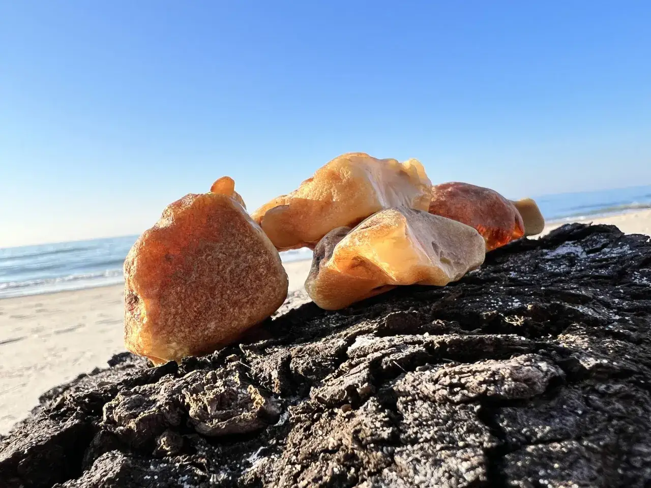 Kilka kawałków bursztynu na ciemnym drewnie, na tle plaży i błękitnego nieba. Tak wygląda jak rozpoznać bursztyn na plaży.