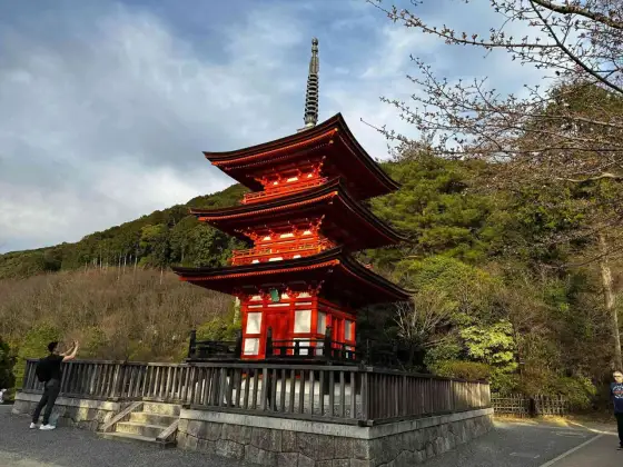 Japonia z biurem: Wybierz idealną wycieczkę i poznaj koszty