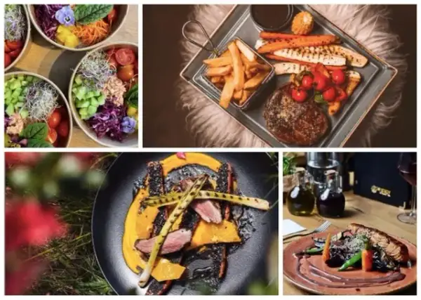 Gdzie zjeść w Starym Sączu? Najlepsze restauracje i smaki regionu